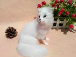 仙家白狐黑狐的區(qū)別