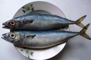 青占魚為什么便宜