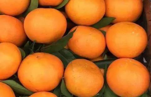 巴西柑和沃柑的區別