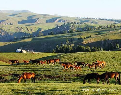 全中國風(fēng)水最好的地方,八卦城特克斯縣