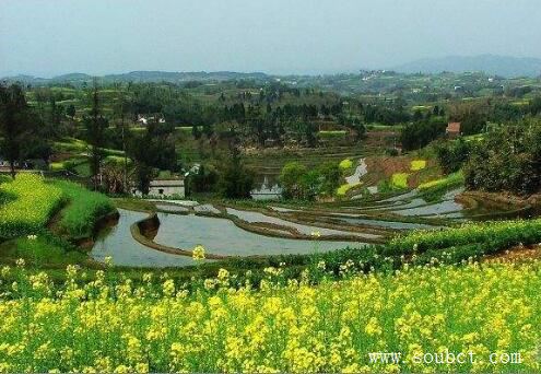 中國最高的盆地,柴達(dá)木盆地平均海拔3000米