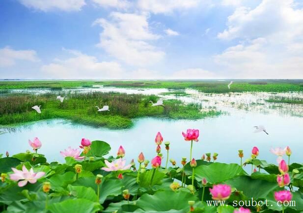 中國最大的湖泊排名,中國十大湖泊之青海湖