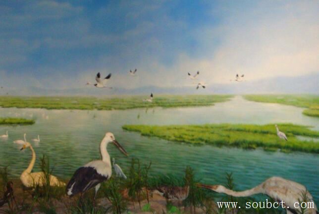 中國最大的湖泊排名,中國十大湖泊之青海湖