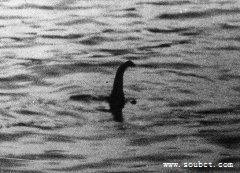 尼斯湖水怪真相,神秘水怪竟然是大象鼻子