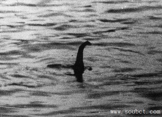 尼斯湖水怪真相,神秘水怪竟然是大象鼻子