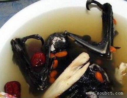 世界上最惡心的食物活蛆乳酪，忍不住嘔吐了！