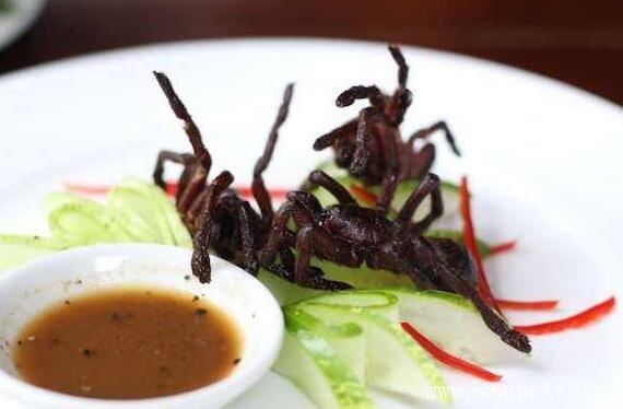 世界上最惡心的食物活蛆乳酪，忍不住嘔吐了！