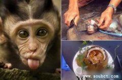 中國十大禁菜，油潑猴頭不忍直視