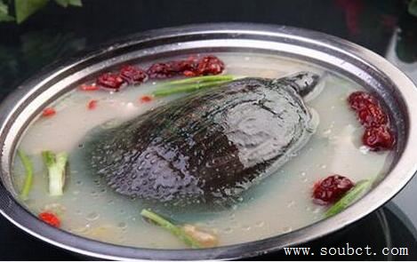 中國十大禁菜,油潑猴頭不忍直視