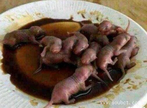 中國十大禁菜,油潑猴頭不忍直視