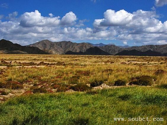 中國四大盆地，塔里木盆地面積最大