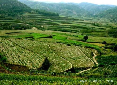 中國四大盆地，塔里木盆地面積最大