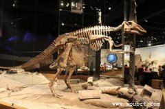 加拿大恐龍博物館,世界上最大的古生物博物館