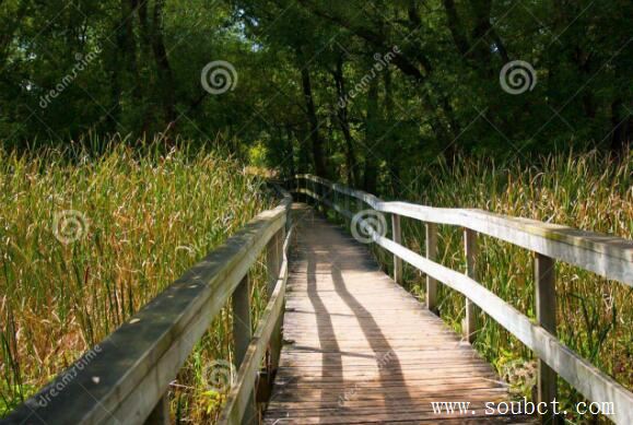 世界最長的十座跨海大橋:港珠澳大橋全長55公里