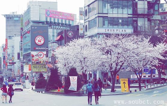 世界上最富有的城市排名,迪拜未上榜(美國占2個)