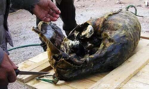 世界上最惡心十種的食物,東陽童子蛋榜上有名