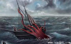 世界上最大的魷魚,大王烏賊長達80米(重50噸)