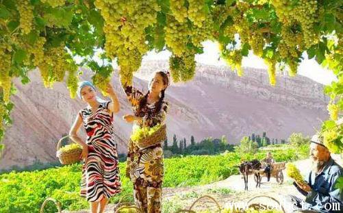 中國最低的盆地，吐魯番盆地最低點為-154.31米