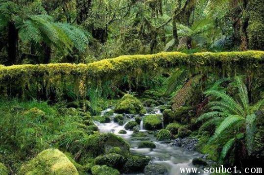 世界上面積最大的盆地，剛果盆地面積高達(dá)337萬(wàn)平方公里