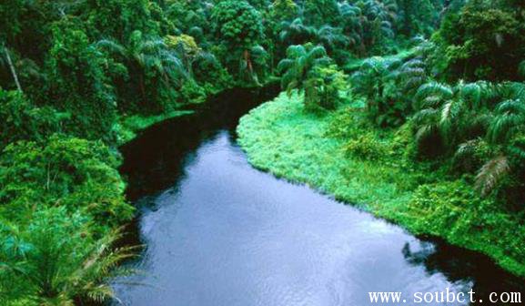 世界上面積最大的盆地，剛果盆地面積高達(dá)337萬(wàn)平方公里