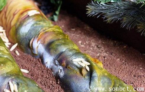 世界上最惡心的蛋糕，腐爛女尸蛋糕讓人忍不住反胃