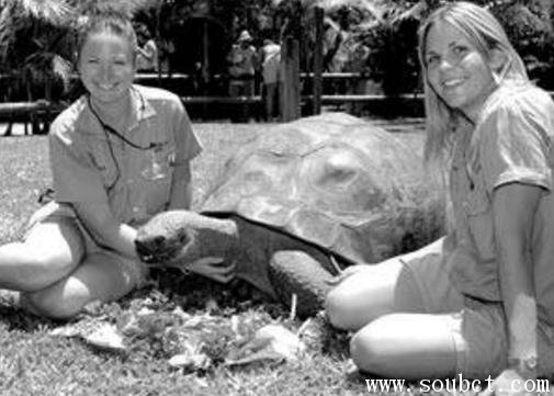 最長壽的龜：哈里特烏龜活了176年，因心臟衰竭離世