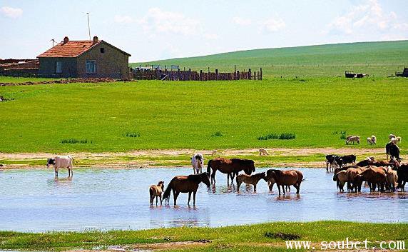 世界上最大的草原,呼倫貝爾大草原面積高達10萬平方千米