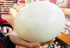 世界上最大的蛋：鴕鳥(niǎo)蛋有30個(gè)雞蛋那么大，一頓吃不完