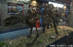 世界上身體最長(zhǎng)的恐龍：根據(jù)地震龍化石推測(cè)出長(zhǎng)32米