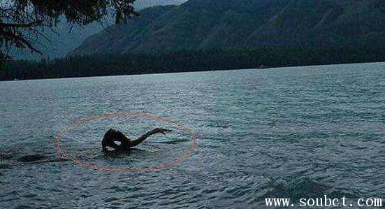 喀納斯最美的季節:6月百花齊放,9月天高云淡