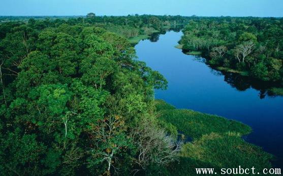 亞馬孫熱帶雨林恐怖生物,世界上面積最大的熱帶雨林
