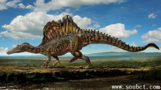 棘龍堪稱世界上最厲害的恐龍，比霸王龍更兇猛