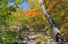 天華山風景區，遼寧秋天最美的地方