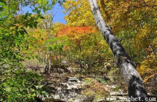 天華山風(fēng)景區(qū),遼寧秋天最美的地方