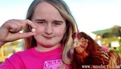 世界上最小的雞蛋大小如鵪鶉蛋