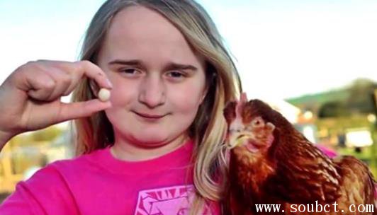 世界上最小的雞蛋大小如鵪鶉蛋