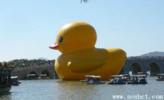 世界上最大的鴨子,19.2米大黃鴨