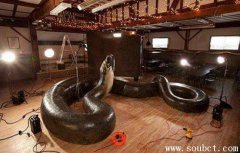 泰坦巨蟒,世界上最大的怪獸