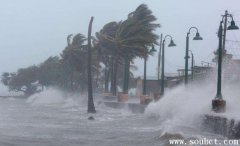 加勒比海真的有海盜嗎,受全球變暖影響最大的海