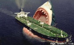 巨齒鯊滅絕了嗎,海洋中最兇猛的鯊魚