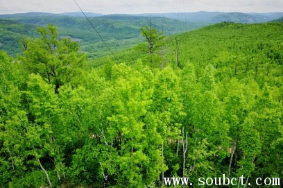 1987大興安嶺火災巨蟒，中國最大的森林