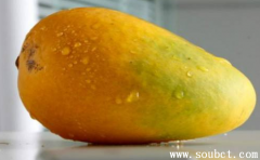 世界上最大的芒果有多大,是什么品種