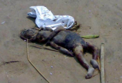 落水鬼存不存在,為什么會拉人(落水鬼是動物)