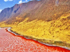 納特龍湖的形成過程,納特龍湖湖水鹽堿度高的原因