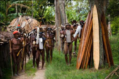 非洲土著人的特點，非洲土著人是什么人種