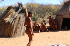 布須曼人是什么人種,布須曼人一夫多妻