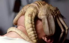 抱臉蟲原型是什么動物,抱臉蟲和異形什么關系