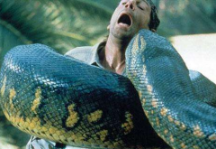 世界上最長的蛇有多長,海底最長的蛇是什么