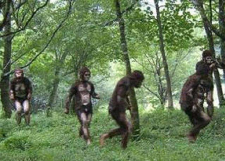 緬甸野人山為什么那么可怕,緬甸野人山大潰敗