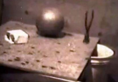 哈奇森效應(yīng)是真的嗎，哈奇森效應(yīng)有人成功嗎